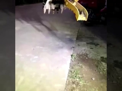 Εργοστάσιο εξατομικευμένο ολοκαίνουργιο μίνι εξορυκτήρα υδραυλικού αγκράφτη κουβά για πώληση