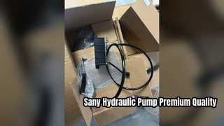 Sany Hydraulic Fan Motor Pump 60248398 Ανταλλακτικά υψηλής ποιότητας